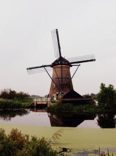 symbol Holandii w całej swojej krasie