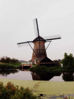 symbol Holandii w całej swojej krasie